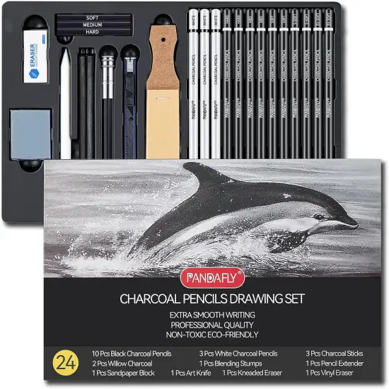 Charcoal Pencils Drawing Set, 24 Piece Black & White Charcoal Pencils for Drawing, Sketching, Shading, Blending, Artist Pencils for Kid, Beginners & Pro Artists {1}