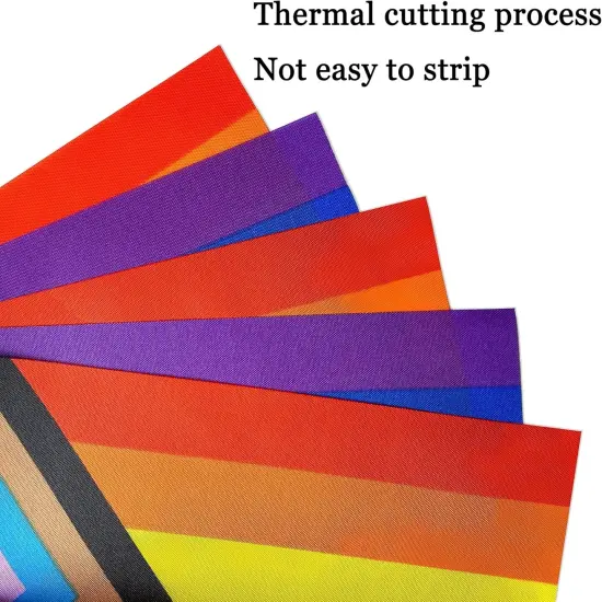 100 Feet Progress Rainbow Gay Pride Flag LGBT String Flags Banner Decorations,76 PCS {4}