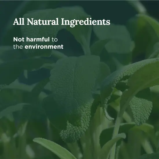 Magnificent 101 Set of 3 Long Lasting White Sage Leaf Scented Smudge Candles - 42 Hour Burn, 3.5 Oz Each, Made with Soy Wax and Herb, Ideal for House Energy Cleansing, Meditation & Manifestation Multicolor {3}