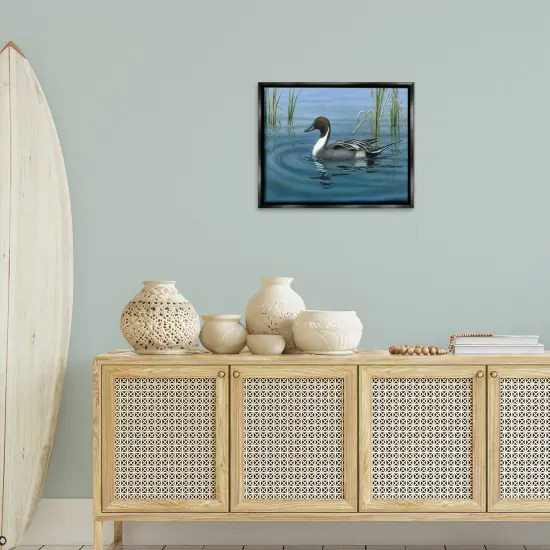 Stupell Industries Pintail Loon in Pond Floater Framed Canvas Wall Art Design by Valerie Rogers {2}