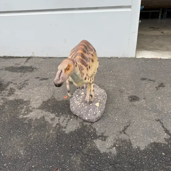 Iguanont Dinosaur Life Size Statue {5}