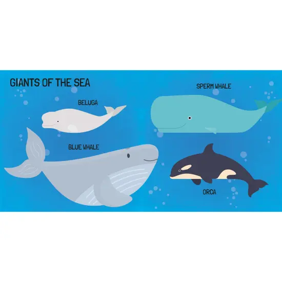 Sassi: Q-Box - The Sea - Read-Play-Learn Underwater Set, 40pc Puzzle, Booklet, 10 Ocean Figures, Storage Box, Interactive Educational Fun, Kids 4+ {7}