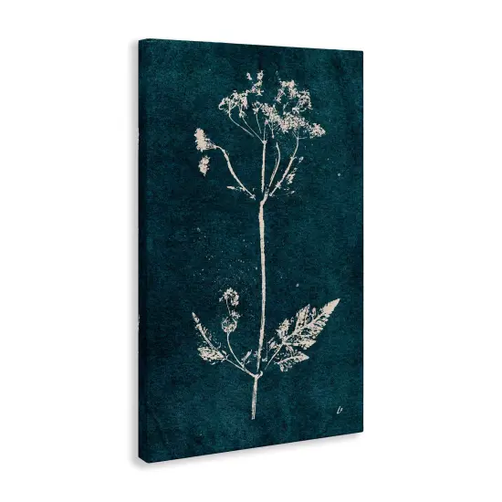 Stupell Industries Cow Parsley Stem Canvas Wall Art Design by Lydia Orange {3}
