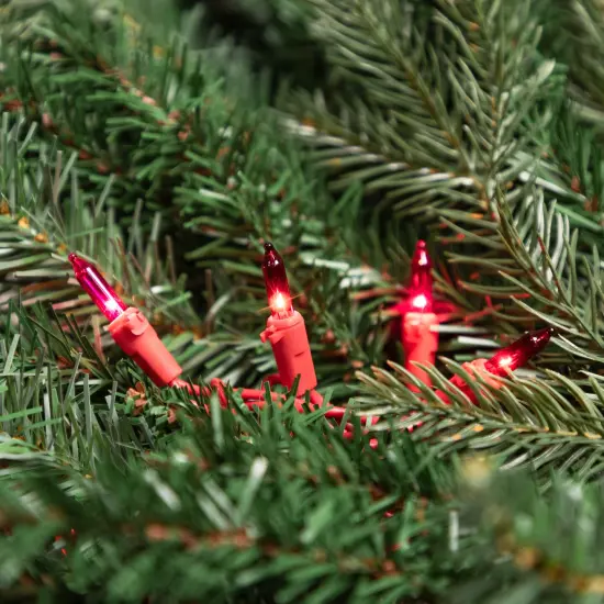 Northlight Mini Christmas Light Set - Red and Pink - 10' Red Wire - 50ct {3}