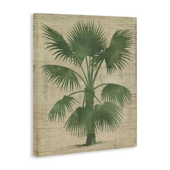 Stupell Industries Vintage Distressed Palm Canvas Wall Art Design by June Erica Vess  {3}