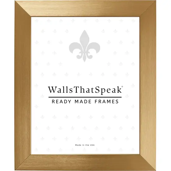 19x25 Picture Frame, Modern Aesthetics 1.25 Inch Polystyrene Moulding, Wall Display Frame for Art, Posters, or Photos by wallsthatspeak {1}
