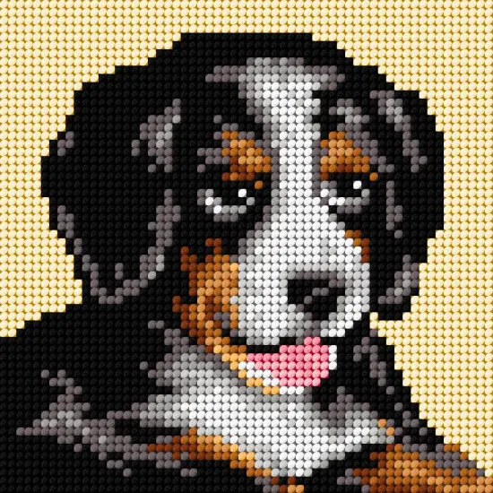 Gobelin canvas for halfstitch without yarn Bernese Mountain Dog 2721D {1}