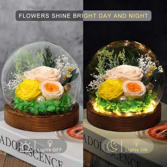 Gifts for Her Preserved Flower Rose in Glass Dome {2}