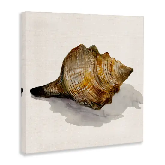 Stupell Industries Conch Shell on Beige Canvas Wall Art Design by Jacob Q {3}