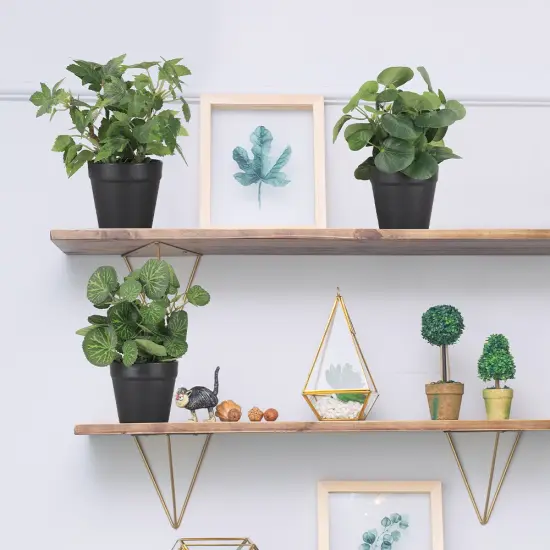 Mini Fake Plants Set of 3 - Small Lifelike Artificial Potted Plants in Ceramic Pots for Home, Office Desk, Bathroom Shelf, Farmhouse Decor {5}