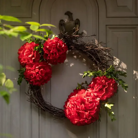 Red Tissue Paper Pom Poms - Assorted Sizes - Red Party Decorations for Birthdays, Weddings, Baby Showers and Special Occasions {3}