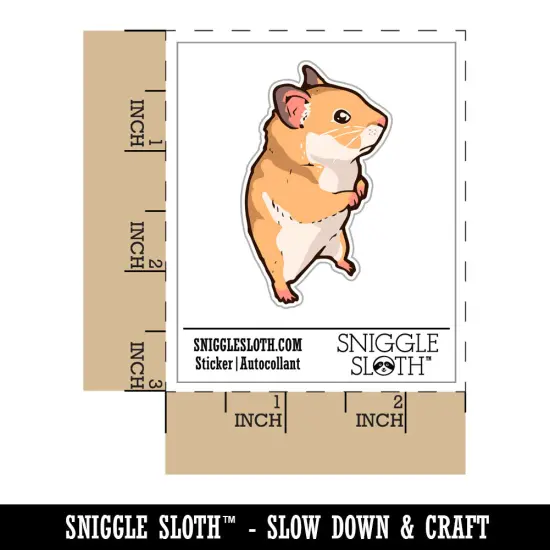 Water Bottle Sticker Set Wary Suspicious Syrian Hamster Standing Cute Waterproof Vinyl Stickers Pack Decal, Skateboard, Laptop, Car, Window, Bumper - 5 Pack {7}