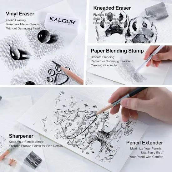 25-Piece Professional Graphite Sketch Pencil Set with Matte and Regular Pencils - Includes Vinyl Eraser, Kneaded Eraser, Sharpener, Pencil Extender and Blending Stump - Ideal for Artists and Beginners {5}