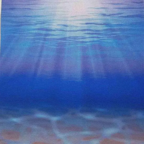 Ocean Depths Designer Printed AIDA Fabric. Canvas for embroidery with an applied backgroundKF-1050A {1}