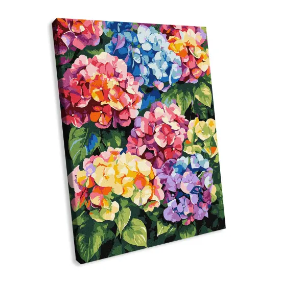 Painting by Numbers kit Multicolored hydrangeas KHO3299 {1}