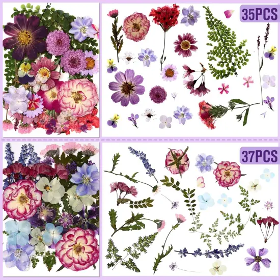 167 Pcs Real Dried Pressed Flowers - Purple {2}