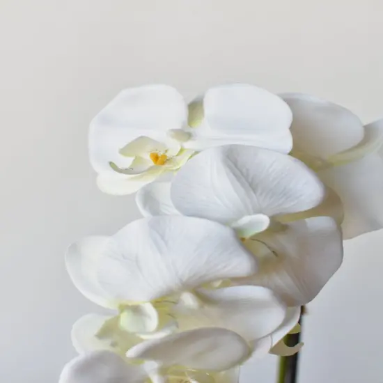 22" Faux Phalaenopsis Orchid in Blue/White Container - 1OR {4}