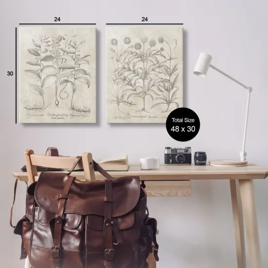 Stupell Industries Soft Botanical Study2 pc Canvas Wall Art Set Design by Lettered and Lined {3}