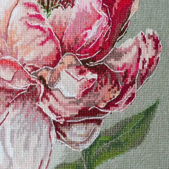 Counted Cross-stitch kit -Graceful beauty AH-256 {6}