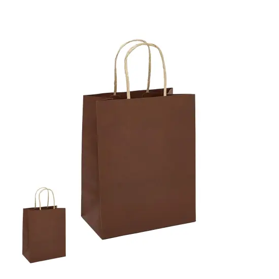 Large Kraft Shopping Bag 16" x 6" x 12" {6}