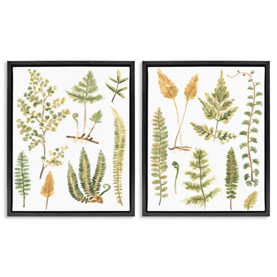 Stupell Industries Watercolor Fern Leaves 2 pc Framed Floater Canvas Wall Art Set Design by June Erica Vess {7}