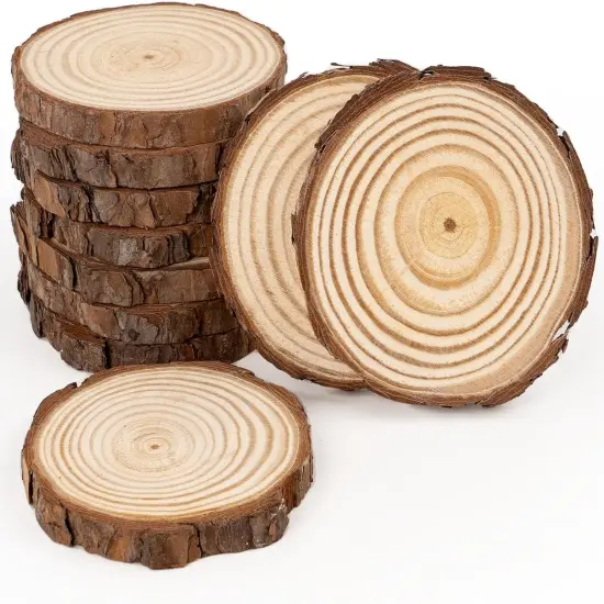 Wood Slices, 10 Pcs 3.5''-4'' Natural Wood Rounds, Wooden Circles {1}