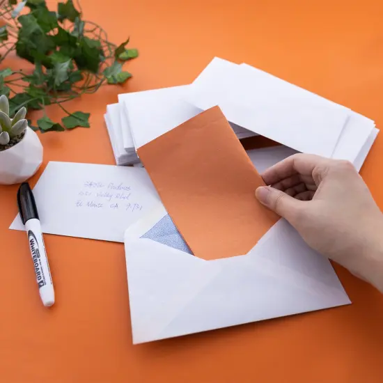 BAZIC #6 3/4 Gummed Closure Security Envelope (80/Pack) {5}