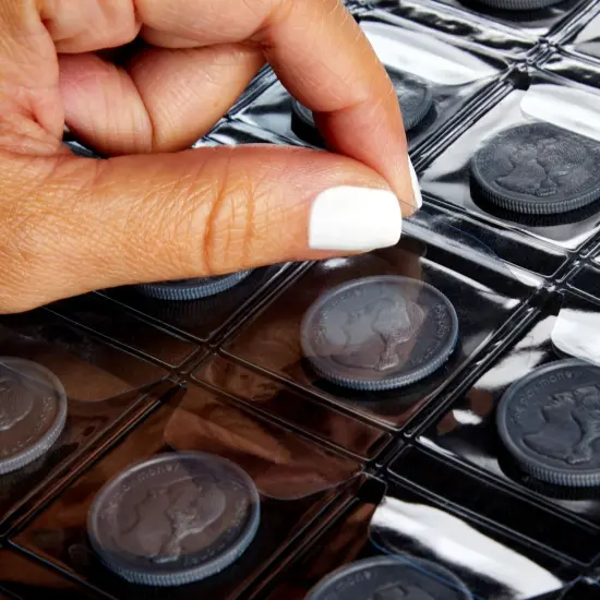 460 Pockets Coin Collection Pages for Three Ring Binder (8x11 in, 15 Sheets) Clear {6}