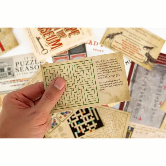 Professor Puzzle: Escape From The Museum - A Mini Escape Room Game, 12 Brain-Busting Puzzles To Solve, Collaborative Party Game, Ages 12+, 1+ Players {7}