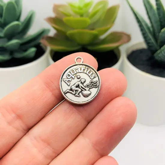 Silver Aquarius Zodiac/Astrology Coin Charms, 17x20mm {2}