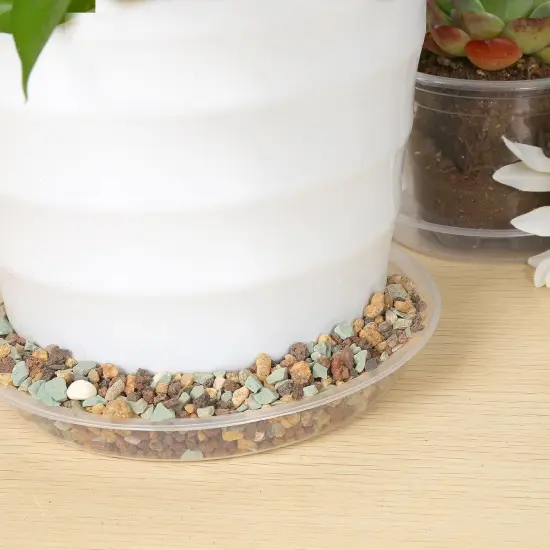 6 Pack Clear Plant Suacer {3}