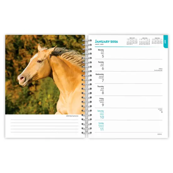 Horse Lovers | 2026 6x7.75 Inch Spiral-Bound Wire-O Weekly Engagement Planner Calendar | New Full-Color Image Every Week {3}