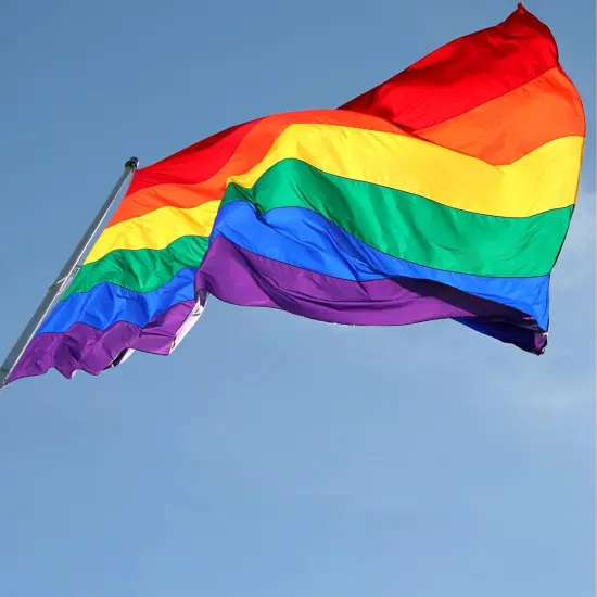 Rainbow Pride Flag 3x5 Outdoor-LGBTQ Flags Pride Flag Sewn Stripes Vivid Color Heavy Duty Polyester Flags with 2 Brass Grommets {4}