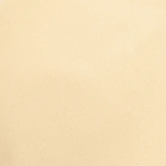 Core'dinations Vellum 8.5"X11"-Gold Metallic {1}