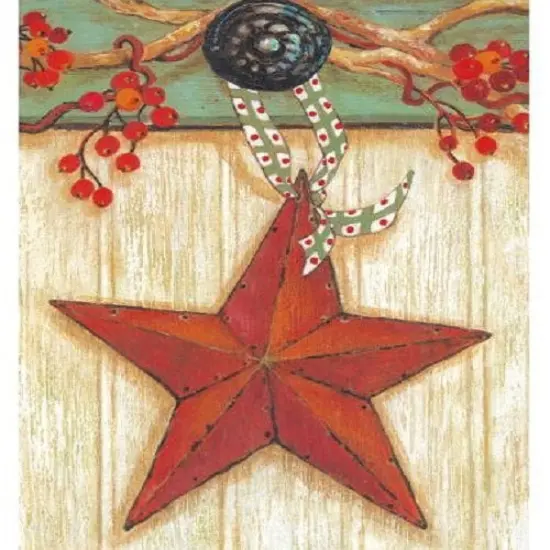 Bittersweet Star Flag 2 Sided Decorative House Banner {1}