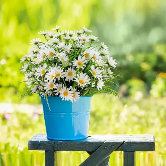 4 Bundles Summer Potted Plants Artificial Silk Daisy Flowers Fake Daisies Plastics Plants Flower Faux Wildflowers {4}