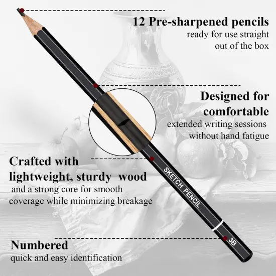 Sketching Pencils for Drawing, Set of 12 Drawing Pencils for Sketching Medium (6B - 4H), Artist Graphite Pencils for Drawing, Sketch Pencils for Artists for Sketching Supplies, Drawing Art Supplies. {3}