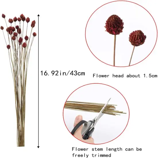 30 Pcs Dried Flowers Bouquet {2}