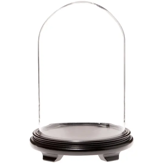 Plymor 9.75" x 15" Glass Display Dome Cloche Walnut Wood Veneer {2}