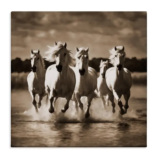 Stupell Industries Camargue Stallions Trotting Canvas Wall Art Design by Noah Bay {1}