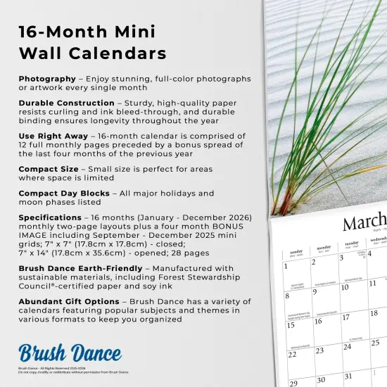 Simplicity | 2026 7 x 14 Inch (Hanging) Monthly Mini Wall Calendar {6}