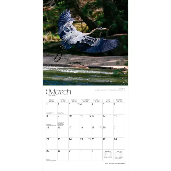 North Carolina Wild & Scenic | 2026 12 x 24 Inch (Hanging) Monthly Square Wall Calendar | Plastic-Free {3}