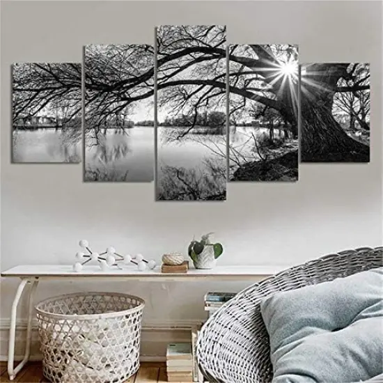 DIY 5D Full Diamond Art Kit,Black and White Tree Lake Surface Sunshine 5 Piece Multi Diamond Art Kits for Adults Paint with Diamonds Kits Diamonds Embroidery by Numbers 17.7x37.4 inch {3}