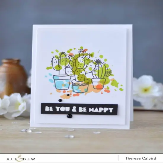A Splash of Color Stamp Set {2}