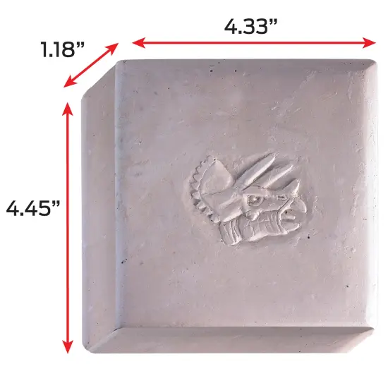 WowWorld: Dino Dig - Triceratops - All-In-One Dinosaur Skeleton Excavation Kit, Tools & Construction Figurine, Educational Science Toy, Kids Ages 6+ {6}