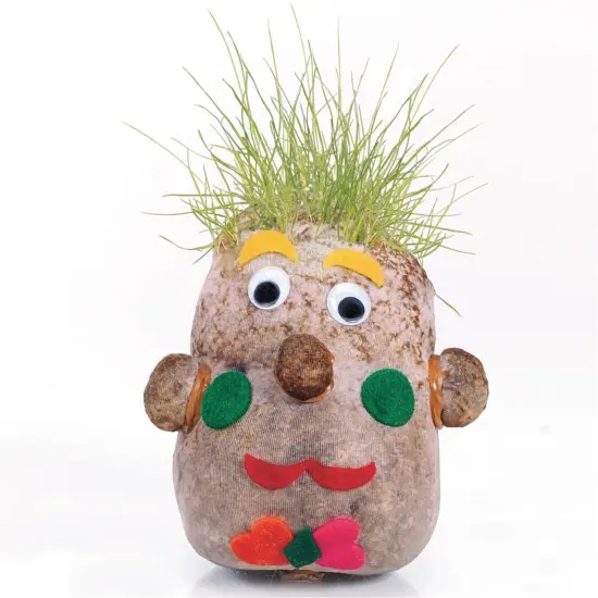 EduCraft&reg; Grass Hair Planters Craft Kit (Pack of 24) {1}