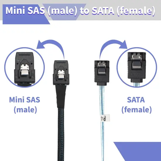 Mini SAS to 4 SATA Transfer Cable, with Tags, Connects a Blue, 3.3 ft. {5}