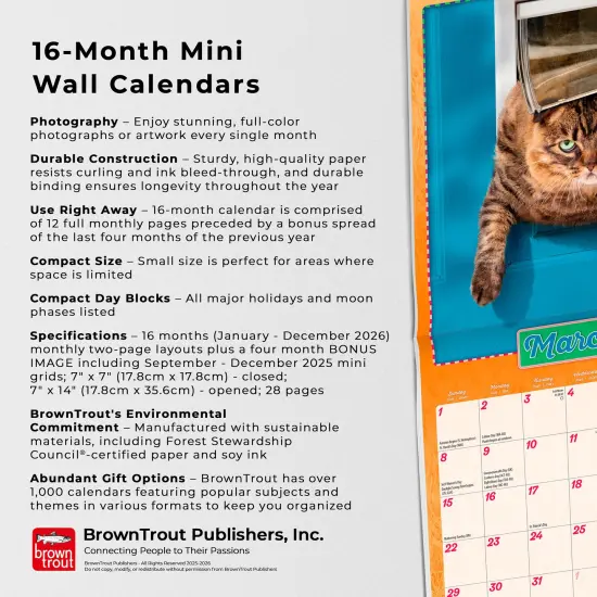 Avanti Cranky Kitties OFFICIAL | 2026 7 x 14 Inch (Hanging) Monthly Mini Wall Calendar {6}