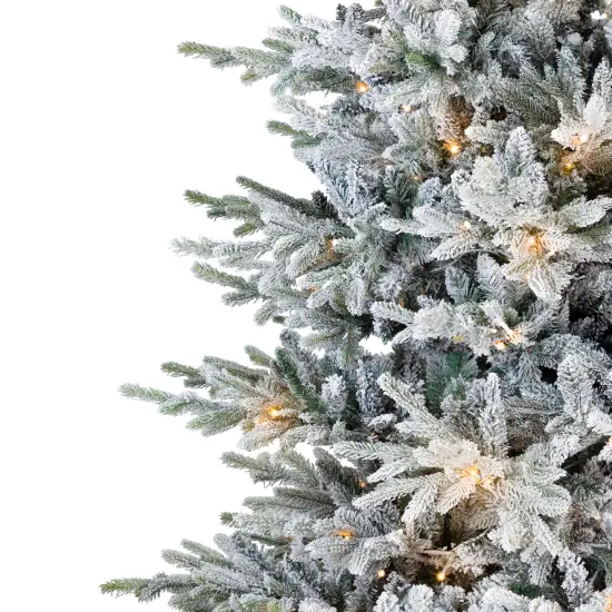 Northlight Real Touch&trade; Pre-Lit Flocked Grand Teton Pine Artificial Christmas Tree - 7.5' Warm White LED Green {5}