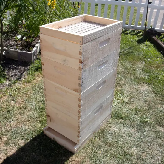 Stoney Acres Candy Board Feeder for 8-Frame Langstroth Hive, Essential Winter Feed for Bees, Durable and Easy-to-Use, Keeps Bees Fed In Cold Months {7}